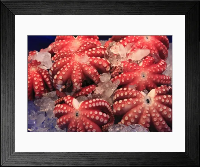 Framed Print : Octopus, Tsukiji fish market, Tokyo, Japan, Asia Framed Print : Octopus, Tsukiji fish market, Tokyo, Japan, Asia