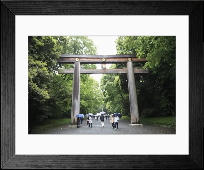 Framed Print : Yoyogi Park, Harajuku, Tokyo, Japan, Asia Framed Print : Yoyogi Park, Harajuku, Tokyo, Japan, Asia