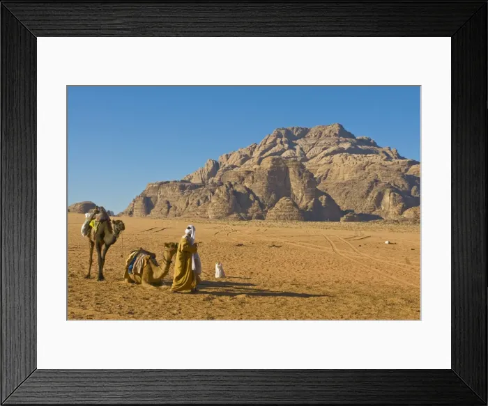 Framed Print : Bedouin with his camels in the stunning scenery of Wadi Rum, Jordan, Middle East Framed Print : Bedouin with his camels in the stunning scenery of Wadi Rum, Jordan, Middle East