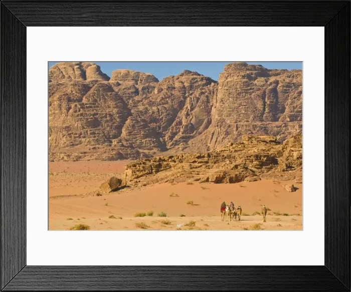 Framed Print : Camel caravan in the stunning desert scenery of Wadi Rum, Jordan, Middle East Framed Print : Camel caravan in the stunning desert scenery of Wadi Rum, Jordan, Middle East