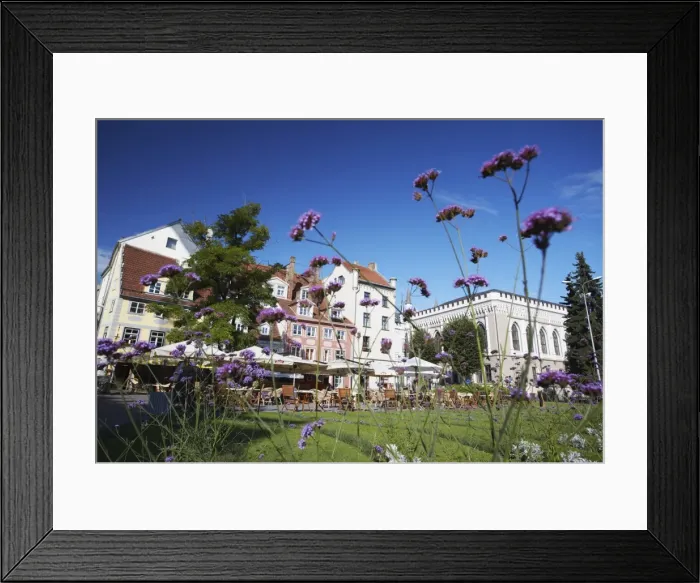 Framed Print : Restaurants and cafes in Livu Laukums, Riga, Latvia, Baltic States, Europe Framed Print : Restaurants and cafes in Livu Laukums, Riga, Latvia, Baltic States, Europe
