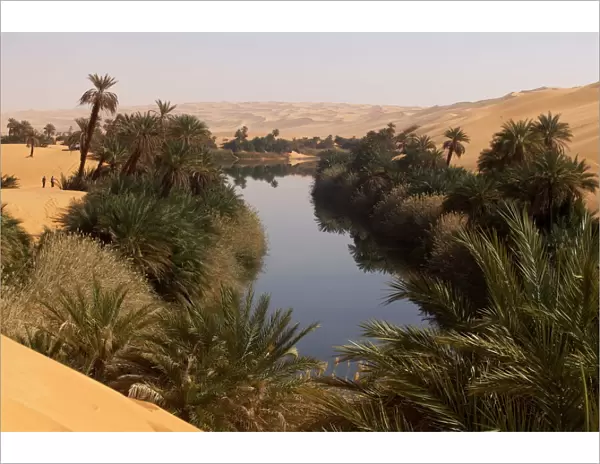In the erg of Ubari, the Umm-el Ma (Mother of the Waters) Lake, Libya, North Africa