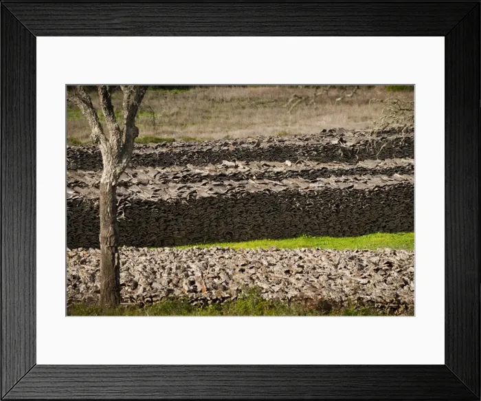 Framed Print : Cork drying, Chefchaouen, Morocco, North Africa, Africa Framed Print : Cork drying, Chefchaouen, Morocco, North Africa, Africa