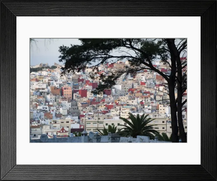 Framed Print : Town of Tangier from opposite hill through trees, Morocco, North Africa, Africa