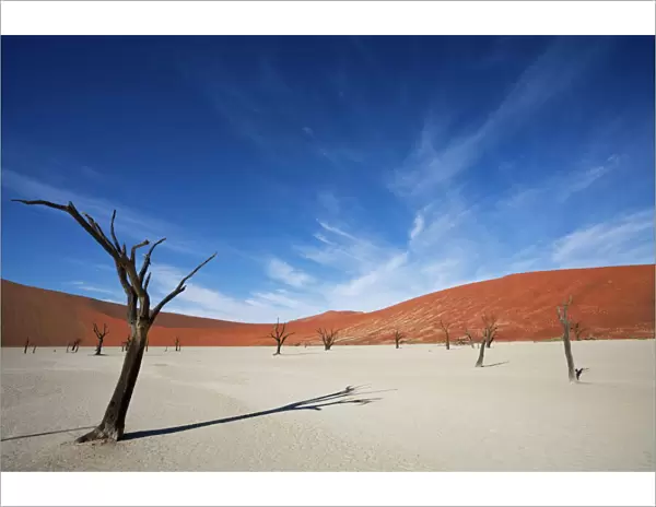 Dead Vlei, Sossusvlei, Namib-Naukluft Park, Namib Desert, Namibia, Africa