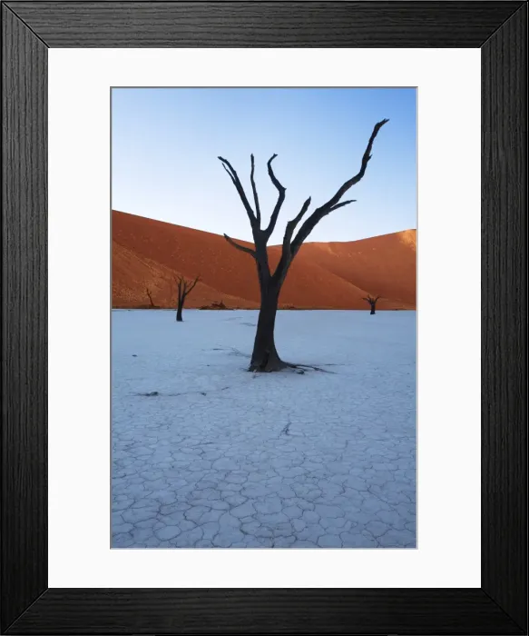Framed Print : Sunrise at Dead Vlei, Sossusvlei, Namib-Naukluft Park, Namib Desert, Namibia, Africa Framed Print : Sunrise at Dead Vlei, Sossusvlei, Namib-Naukluft Park, Namib Desert, Namibia, Africa