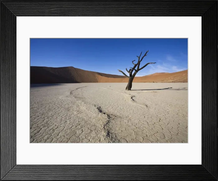 Framed Print : Snaking line in the earth, Dead Vlei, Sossusvlei, Namib-Naukluft Park, Namib Desert Framed Print : Snaking line in the earth, Dead Vlei, Sossusvlei, Namib-Naukluft Park, Namib Desert