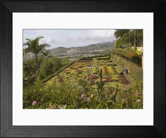 Framed Print : Choreographed garden, Botanical Gardens, Funchal, Madeira, Portugal, Europe Framed Print : Choreographed garden, Botanical Gardens, Funchal, Madeira, Portugal, Europe