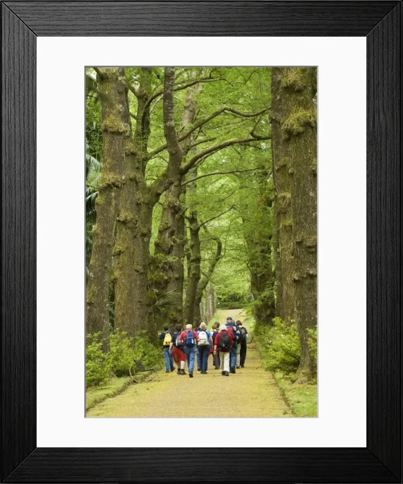 Framed Print : Parque Terra Nostra in Furnas, San Miguel, Azores, Portugal, Europe Framed Print : Parque Terra Nostra in Furnas, San Miguel, Azores, Portugal, Europe