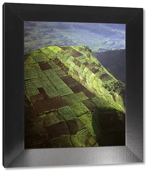 Aerial view of intensive agriculture on Virunga foothills, Democratic Republic of Congo