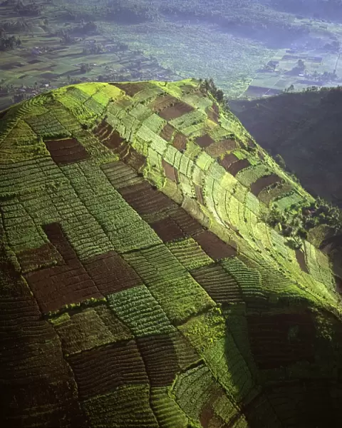 Aerial view of intensive agriculture on Virunga foothills, Democratic Republic of Congo