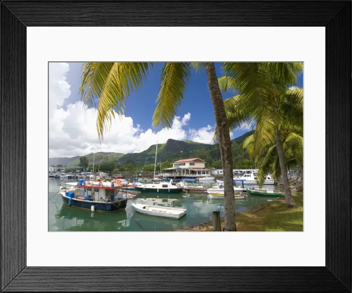 Framed Print : The colourful palm-lined harbour, Victoria, Island of Mahe, Seychelles Framed Print : The colourful palm-lined harbour, Victoria, Island of Mahe, Seychelles