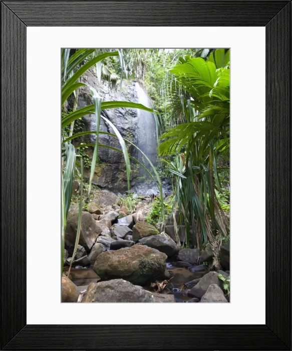 Framed Print : Waterfall in the Vallee de Mai Nature Reserve, UNESCO World Heritage Site Framed Print : Waterfall in the Vallee de Mai Nature Reserve, UNESCO World Heritage Site