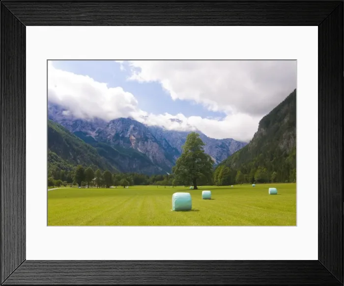 Framed Print : Valley with meadows and hay bales, Logarska Dolina, Slovenia, Europe Framed Print : Valley with meadows and hay bales, Logarska Dolina, Slovenia, Europe