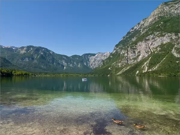 Glacial mountain lake Bohinj, Slovenia, Europe
