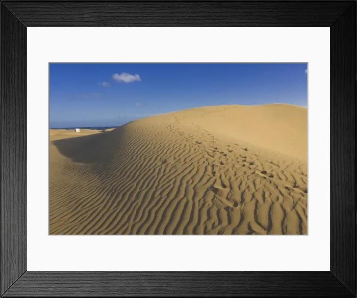 Framed Print : Famous sand dunes of Maspalomas, Gran Canaria, Canary Islands, Spain, Europe Framed Print : Famous sand dunes of Maspalomas, Gran Canaria, Canary Islands, Spain, Europe