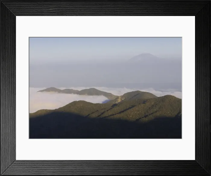 Framed Print : View over Garajonay National Park, UNESCO World Heritage Site, with the volcano of El Teide in the distance, La Gomera, Canary Islands Framed Print : View over Garajonay National Park, UNESCO World Heritage Site, with the volcano of El Teide in the distance, La Gomera, Canary Islands