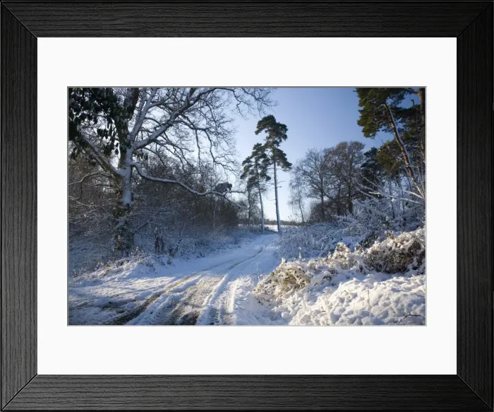 Framed Print : Farm track after snow, Dormansland, Surrey, England, United Kingdom, Europe Framed Print : Farm track after snow, Dormansland, Surrey, England, United Kingdom, Europe