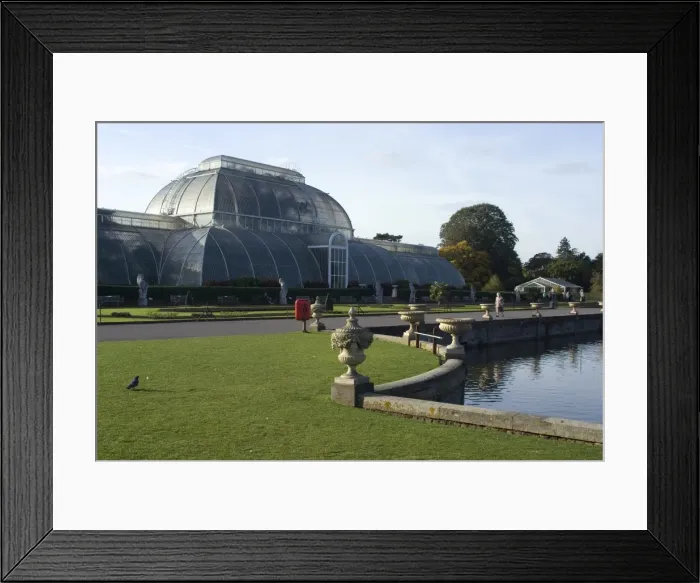 Framed Print : Palm House, Kew Gardens, UNESCO World Heritage Site, Greater London, England Framed Print : Palm House, Kew Gardens, UNESCO World Heritage Site, Greater London, England