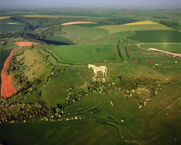 Aerial view of the Westbury White Horse and the Iron Age Bratton Camp Hill Fort