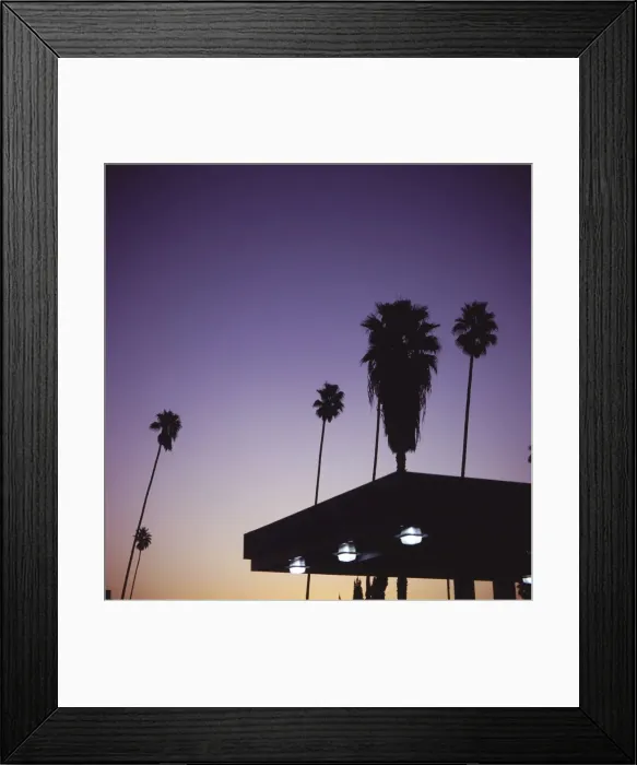 Framed Print : Silhouette of palms next to gas station, South Pasadena, California, United States of America Framed Print : Silhouette of palms next to gas station, South Pasadena, California, United States of America