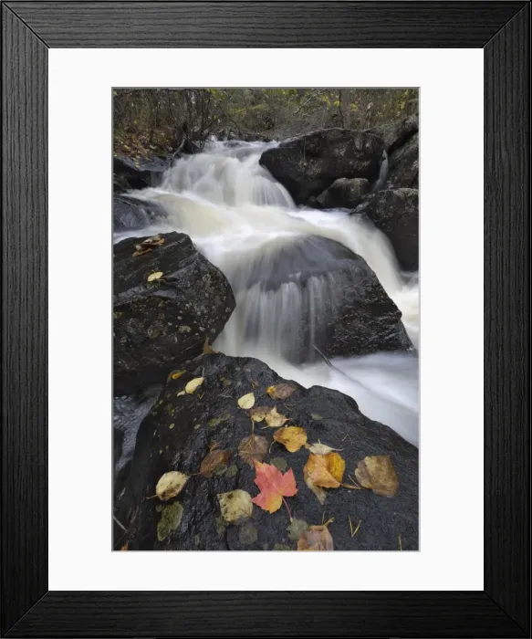 Framed Print : Waterfall, Louse River, Boundary Waters Canoe Area Wilderness, Superior National Forest Framed Print : Waterfall, Louse River, Boundary Waters Canoe Area Wilderness, Superior National Forest