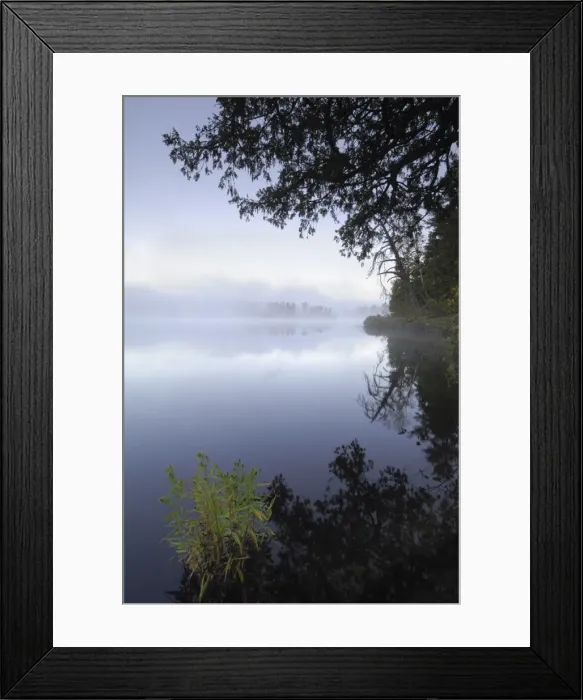 Framed Print : Misty morning, Malberg Lake, Boundary Waters Canoe Area Wilderness, Superior National Forest Framed Print : Misty morning, Malberg Lake, Boundary Waters Canoe Area Wilderness, Superior National Forest