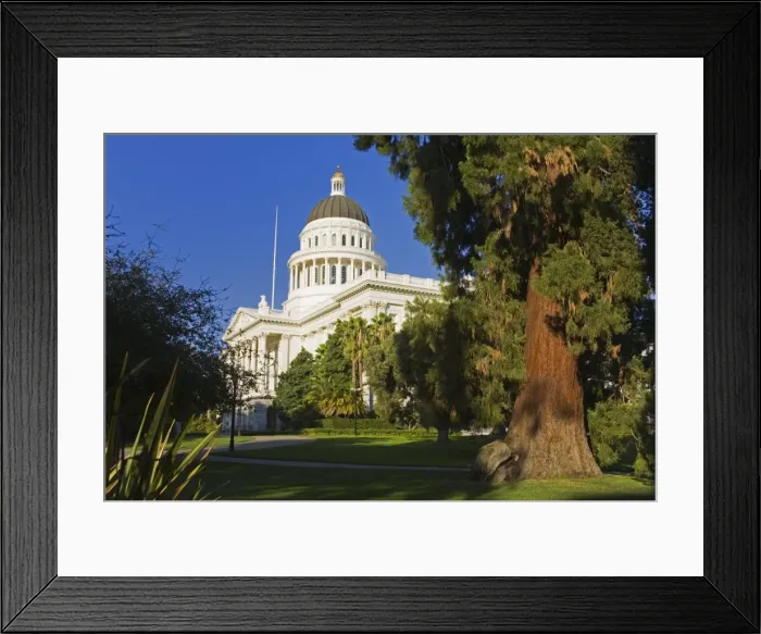 Framed Print : Redwood tree and the State Capitol Building, Sacramento, California, United States of America Framed Print : Redwood tree and the State Capitol Building, Sacramento, California, United States of America