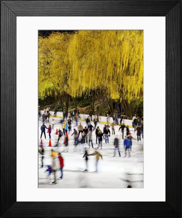 Framed Print : Wollman Ice rink in Central Park, Manhattan, New York City, New York, United States of America Framed Print : Wollman Ice rink in Central Park, Manhattan, New York City, New York, United States of America