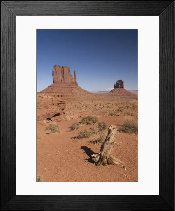 Framed Print : West Mitten Butte on the left and East Mitten butte on the right, Monument Valley Navajo Tribal Park, Arizona, United States of America Framed Print : West Mitten Butte on the left and East Mitten butte on the right, Monument Valley Navajo Tribal Park, Arizona, United States of America