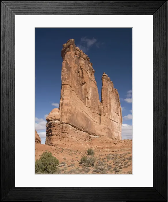 Framed Print : The Organ, Courthouse Towers, Arches National Park, Utah, United States of America