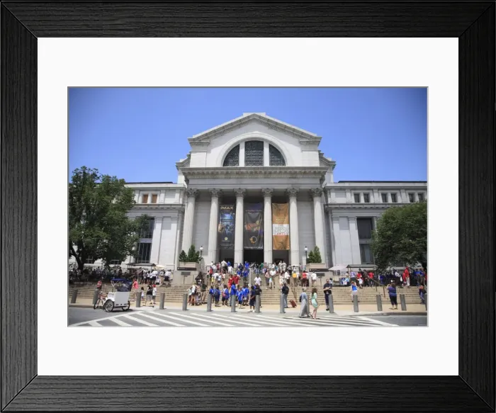 Framed Print : National Museum of Natural History, Washington D. C. United States of America Framed Print : National Museum of Natural History, Washington D. C. United States of America