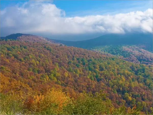 View over the Shenandoah National Park with beautiful foliage in the Indian summer
