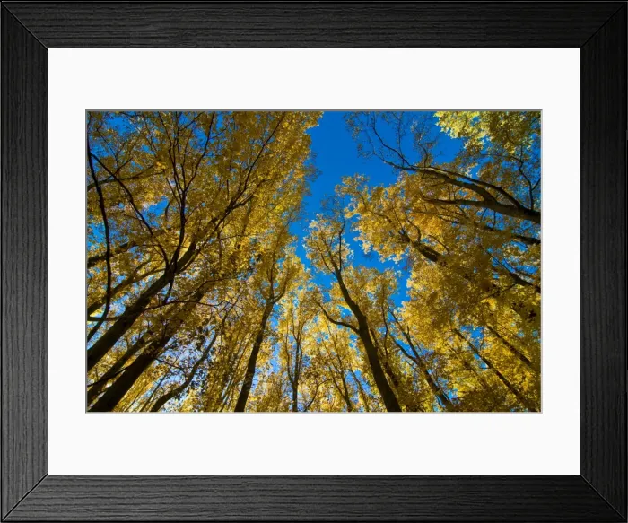 Framed Print : GreatSmokeyNationalParkTN359 Framed Print : GreatSmokeyNationalParkTN359