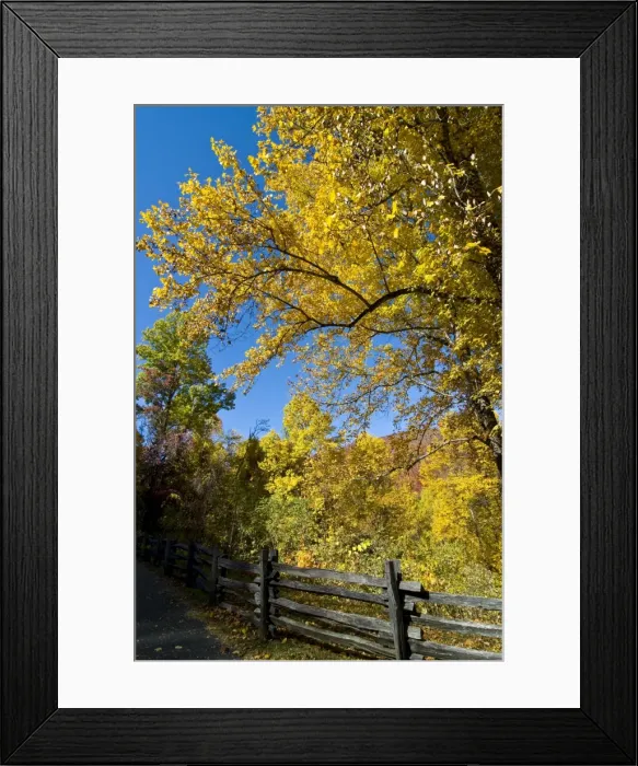Framed Print : GreatSmokeyNationalParkTN174 Framed Print : GreatSmokeyNationalParkTN174
