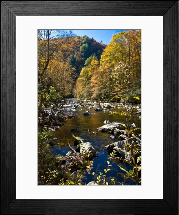 Framed Print : GreatSmokeyNationalParkTN212 Framed Print : GreatSmokeyNationalParkTN212