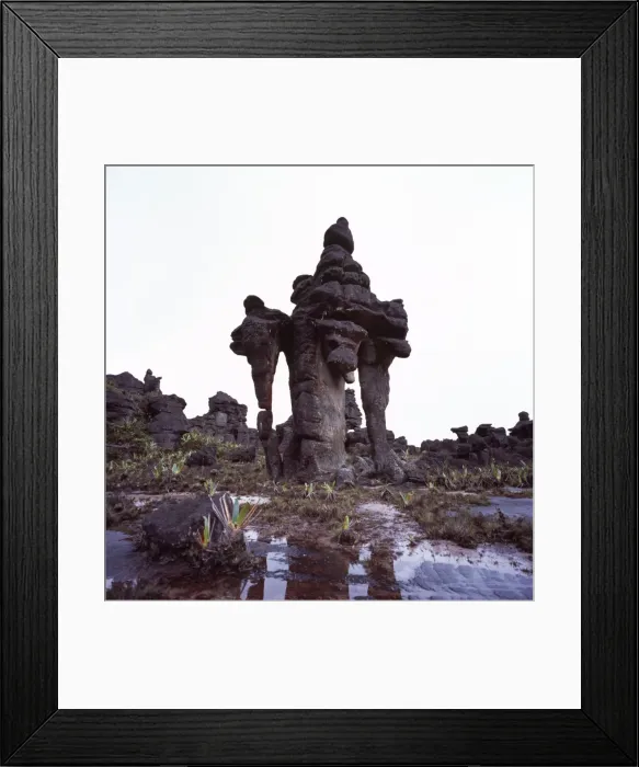 Framed Print : Rock formation on the summit of Mount Kukenaam (Kukenan) (Cuguenan), Estado Bolivar Framed Print : Rock formation on the summit of Mount Kukenaam (Kukenan) (Cuguenan), Estado Bolivar