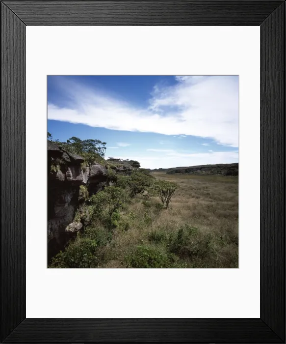 Framed Print : Mount Roraima summit, swamp and scrub, Brazilian sector, Roraima State Framed Print : Mount Roraima summit, swamp and scrub, Brazilian sector, Roraima State