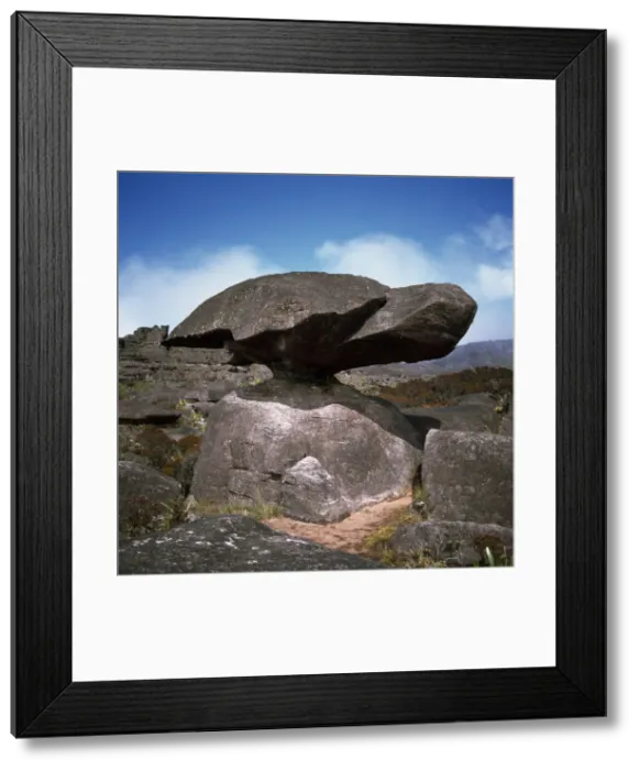 Framed Print : Turtle Rock, Mount Roraima summit, Estado Bolivar, Venezuela, South America Framed Print : Turtle Rock, Mount Roraima summit, Estado Bolivar, Venezuela, South America