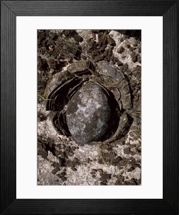 Framed Print : Eroded granite near Mount Roraima, Gran Sabana, Estado Bolivar, Venezuela, South America Framed Print : Eroded granite near Mount Roraima, Gran Sabana, Estado Bolivar, Venezuela, South America