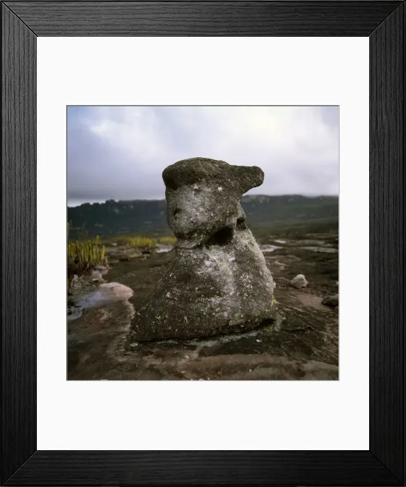 Framed Print : Oso rock (the bear), Auyantepui summit (Devils Mountain), Canaima National Park Framed Print : Oso rock (the bear), Auyantepui summit (Devils Mountain), Canaima National Park
