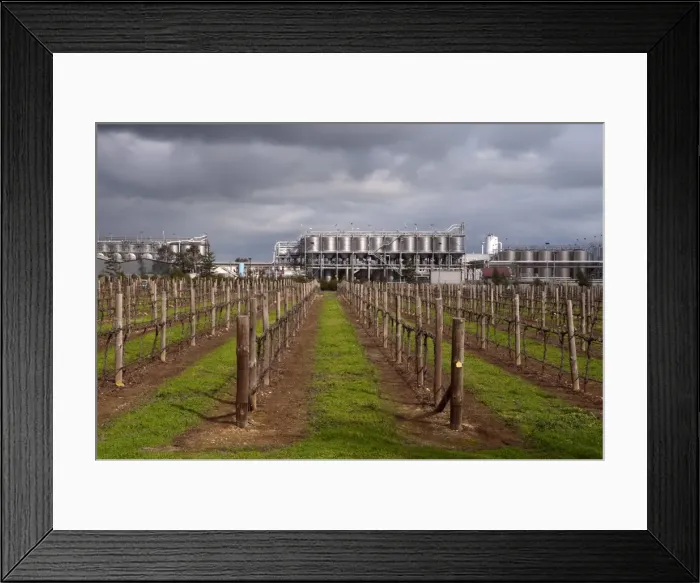 Framed Print : Wynns Coonawarra Estate vineyards and cellars, Coonawarra, South Australia Framed Print : Wynns Coonawarra Estate vineyards and cellars, Coonawarra, South Australia