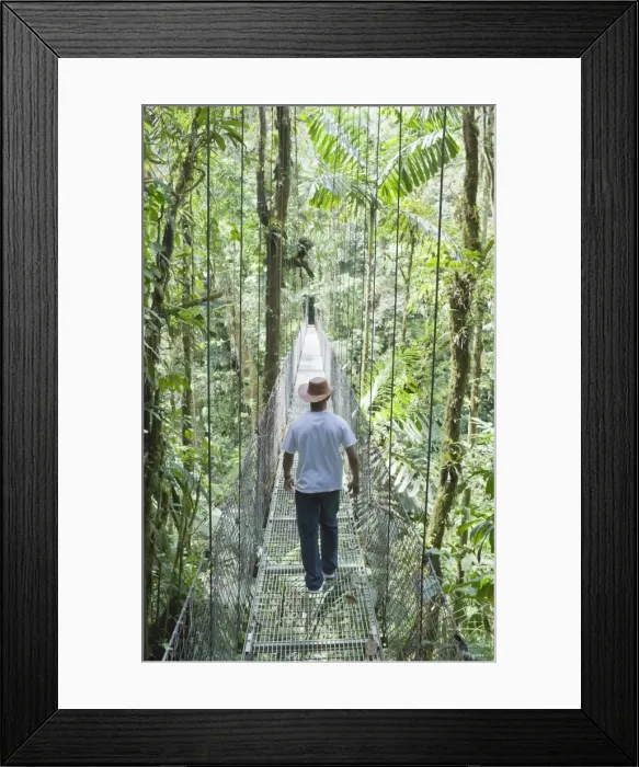 Framed Print : Man walking across hanging bridge in rainforest, , La Fortuna, Arenal, Costa Rica Framed Print : Man walking across hanging bridge in rainforest, , La Fortuna, Arenal, Costa Rica