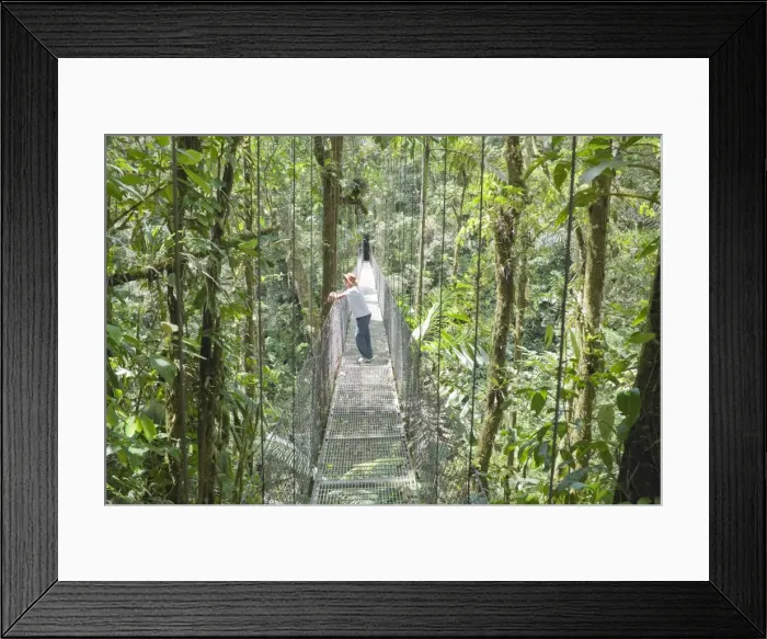 Framed Print : Man standing on hanging bridge in rainforest, , La Fortuna, Arenal, Costa Rica Framed Print : Man standing on hanging bridge in rainforest, , La Fortuna, Arenal, Costa Rica