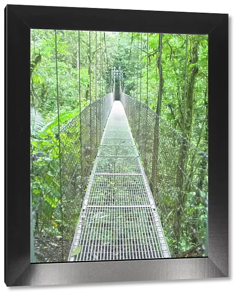 Hanging bridge in rainforest, La Fortuna, Arenal, Costa Rica, Central America