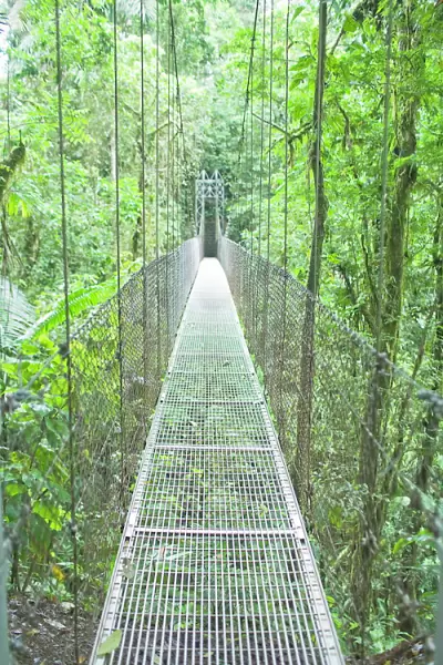 Hanging bridge in rainforest, La Fortuna, Arenal, Costa Rica, Central America