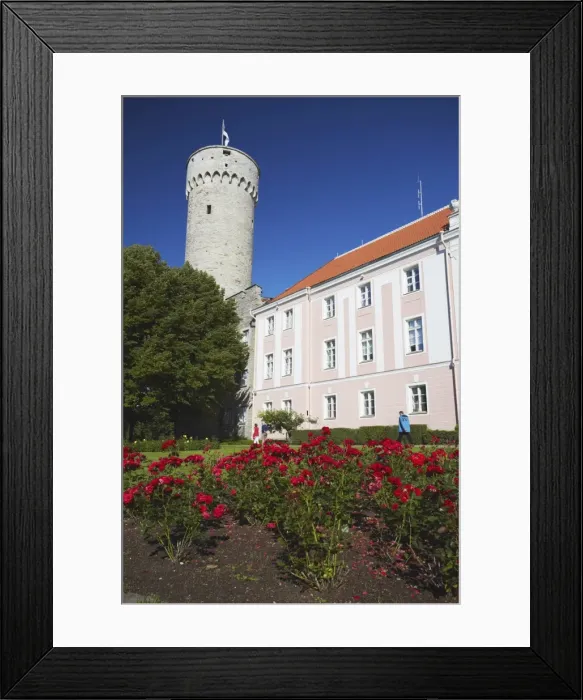Framed Print : Pikk Hermann (Tall Hermann) Tower at Toompea Castle, Toompea, Tallinn, Estonia