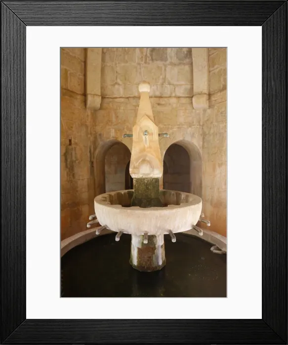 Framed Print : Thoronet Abbey cloister wash basin, Thoronet, Var, Provence, France, Europe Framed Print : Thoronet Abbey cloister wash basin, Thoronet, Var, Provence, France, Europe
