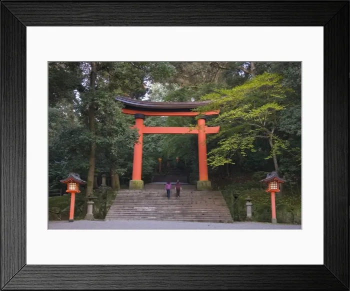 Framed Print : Torii gate and lanterns at Usa Jingu, Usa, Oita, Japan, Asia Framed Print : Torii gate and lanterns at Usa Jingu, Usa, Oita, Japan, Asia