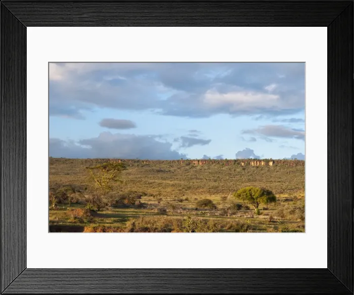 Framed Print : Loisaba Wilderness Conservancy, Laikipia, Kenya, East Africa, Africa Framed Print : Loisaba Wilderness Conservancy, Laikipia, Kenya, East Africa, Africa